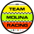 Team Molina Racing cover art